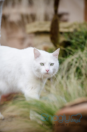 Suzi Outside-48