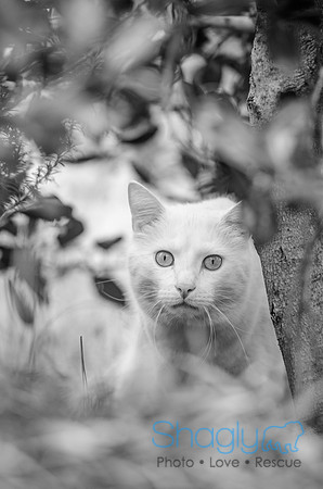 Suzi Outside-52