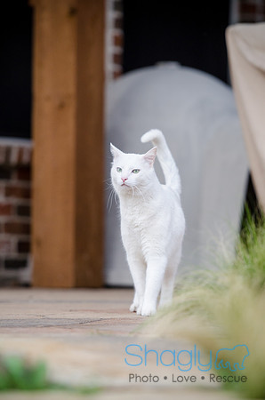 Suzi Outside-43