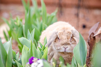 Suzi Outside-10