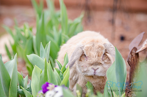 Suzi Outside-10