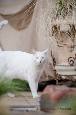 Suzi Outside-44