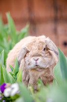 Suzi Outside-6