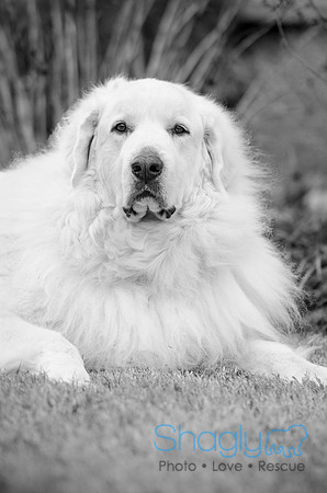 Suzi Outside-38
