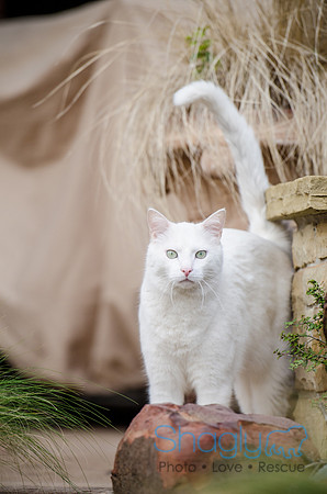 Suzi Outside-46