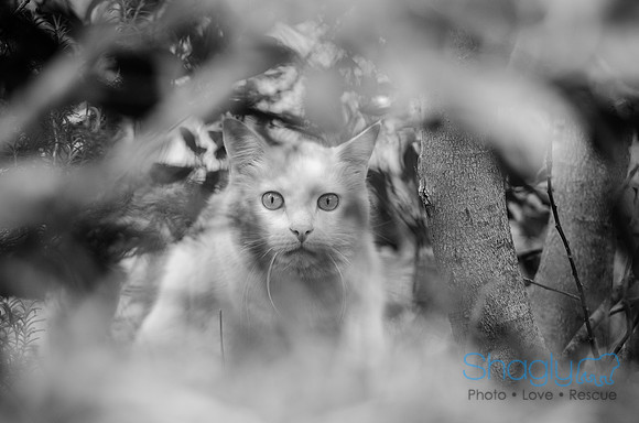 Suzi Outside-50