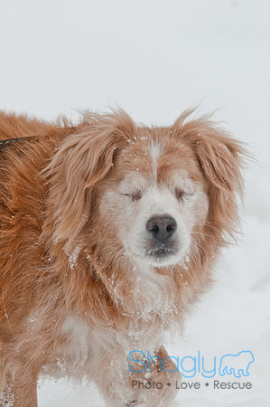 Snow Day 2011