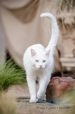 Suzi Outside-47