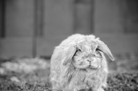 Suzi Outside-4