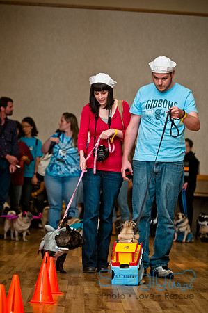 PugOWeen-162