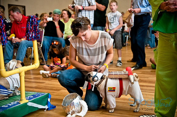 PugOWeen-244