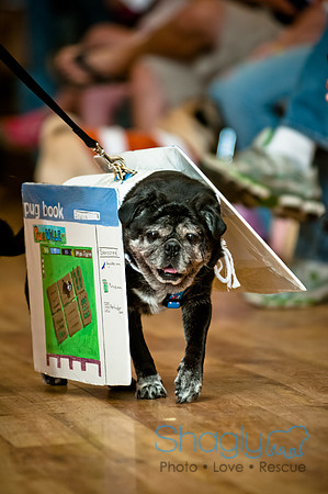 PugOWeen-124