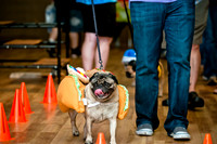 PugOWeen-4
