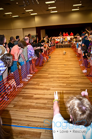 PugOWeen-268