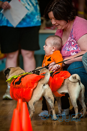 PugOWeen-149
