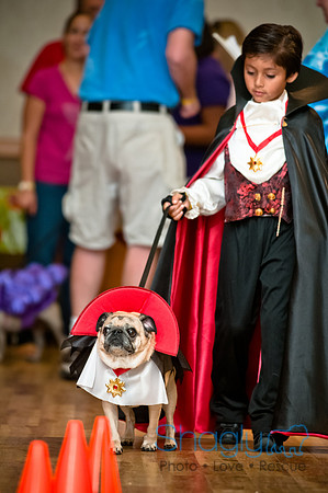 PugOWeen-56