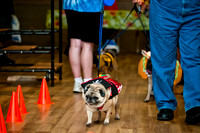 PugOWeen-3