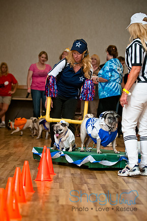 PugOWeen-213