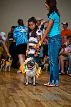 PugOWeen-75