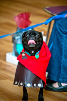 PugOWeen-14