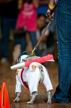 PugOWeen-131