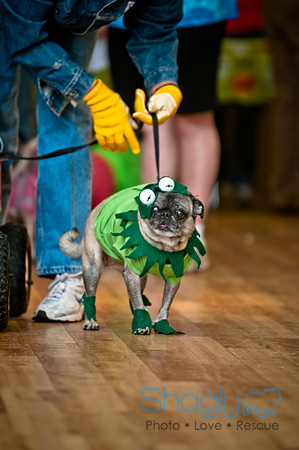 PugOWeen-103