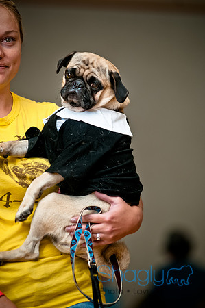 PugOWeen-186