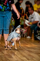 PugOWeen-18