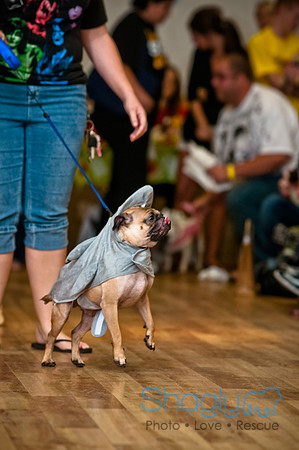 PugOWeen-18