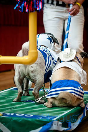 PugOWeen-217