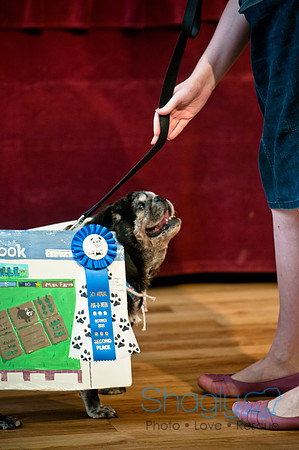 PugOWeen-141