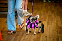 PugOWeen-13