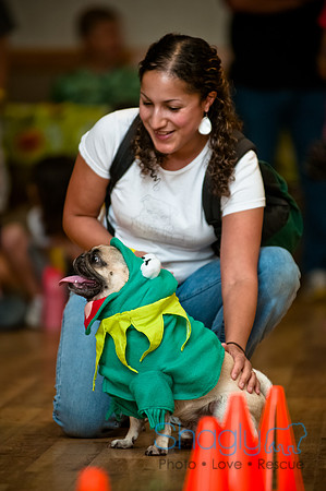 PugOWeen-133