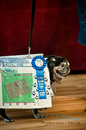 PugOWeen-142