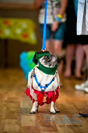 PugOWeen-112