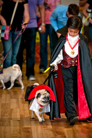 PugOWeen-2