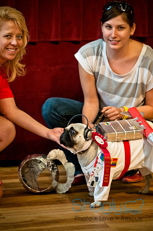 PugOWeen-143