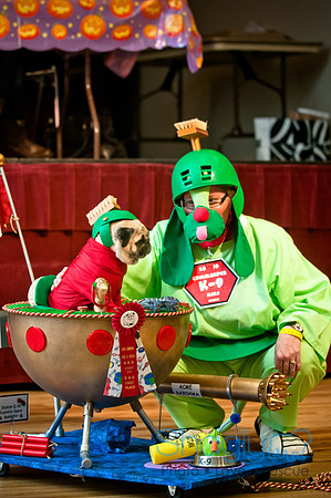 PugOWeen-95