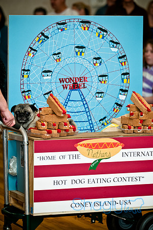 PugOWeen-157