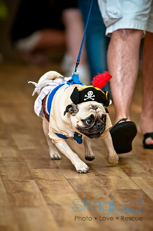 PugOWeen-33