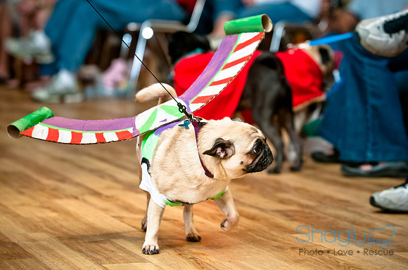 PugOWeen-27