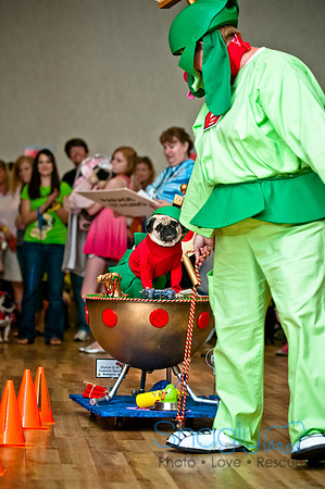 PugOWeen-61