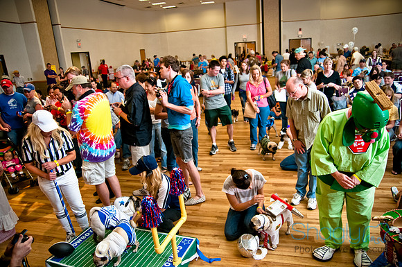 PugOWeen-249