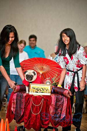 PugOWeen-49