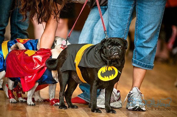 PugOWeen-171