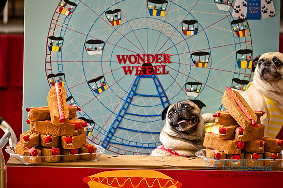 PugOWeen-239