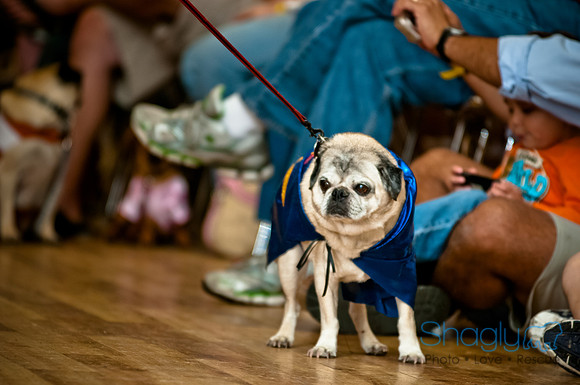 PugOWeen-172