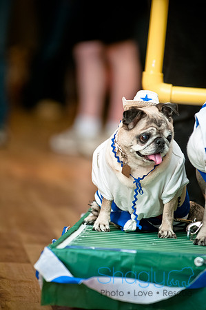 PugOWeen-215