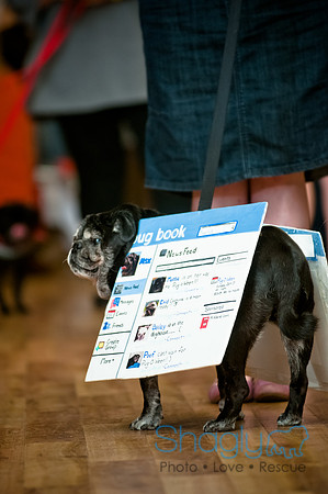 PugOWeen-123