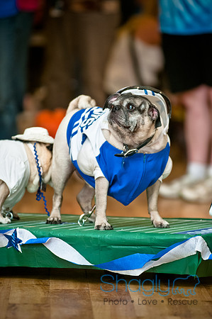 PugOWeen-218